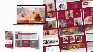 Misstygris, logo, flyer, site vitrine