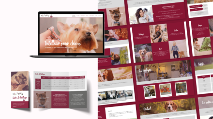 Misstygris, logo, flyer, site vitrine